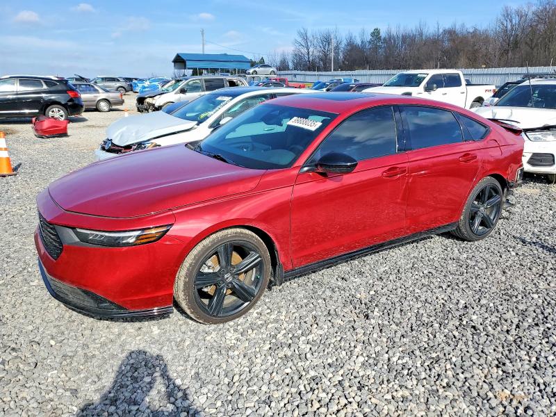 2025 Honda Accord thumbnail 6