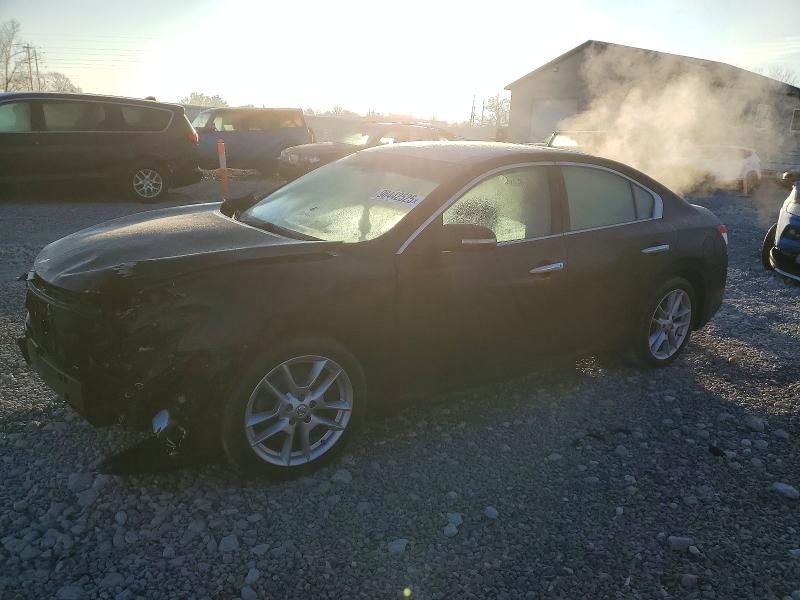 2010 Nissan Maxima thumbnail 6