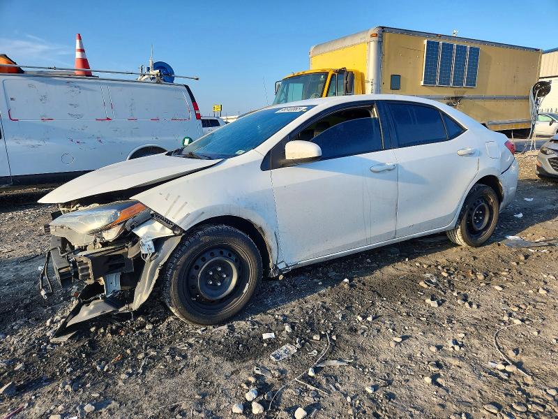 2019 Toyota Corolla thumbnail 6