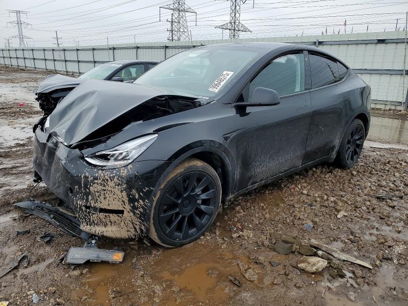 2023 Tesla Model Y thumbnail 6