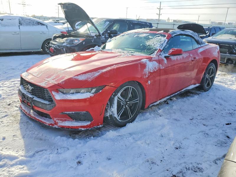 2024 Ford Mustang thumbnail 6