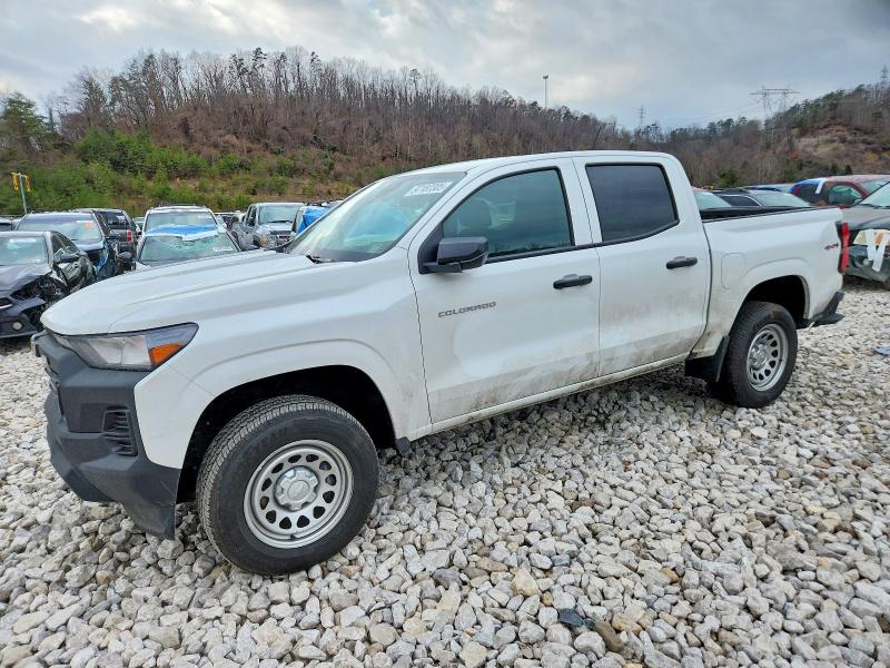 2025 Chevrolet Colorado thumbnail 6