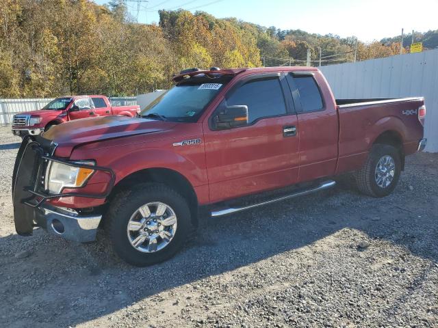 2010 Ford F150 thumbnail 6