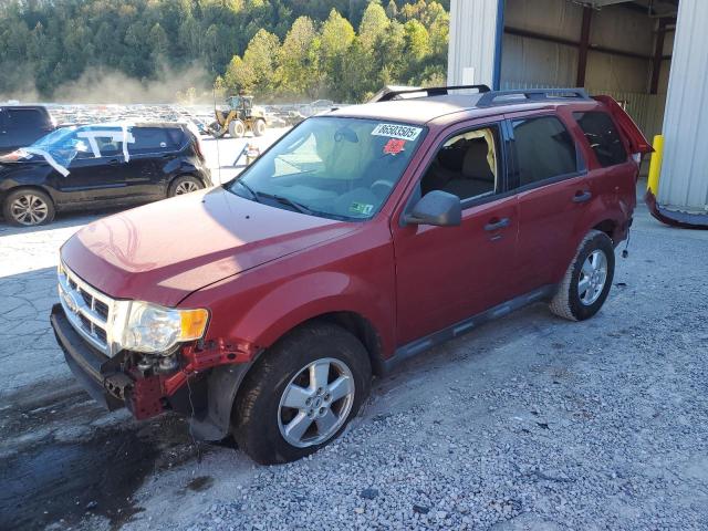 2009 Ford Escape thumbnail 6