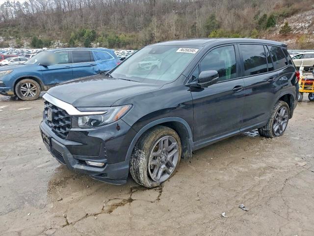 2023 Honda Passport thumbnail 6